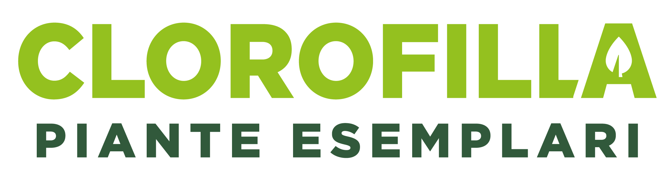 Clorofilla-Piante-Esemplari-Logo